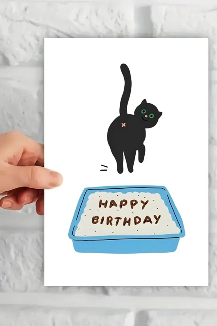 Narozeninové přání s kočkou a nápisem Happy Birthday v zásobníku