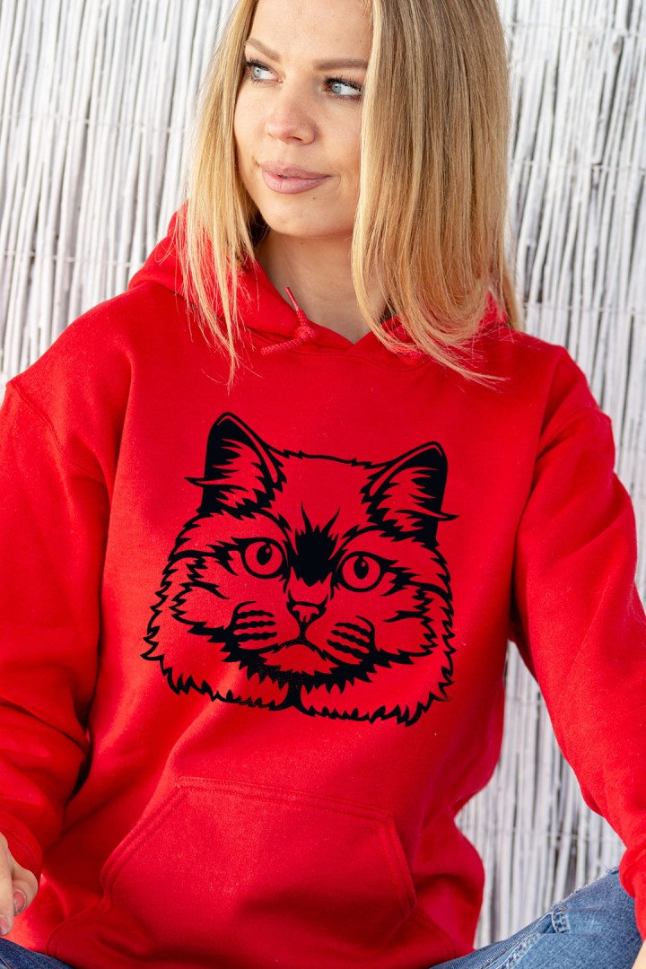 Britská kočičí mikina