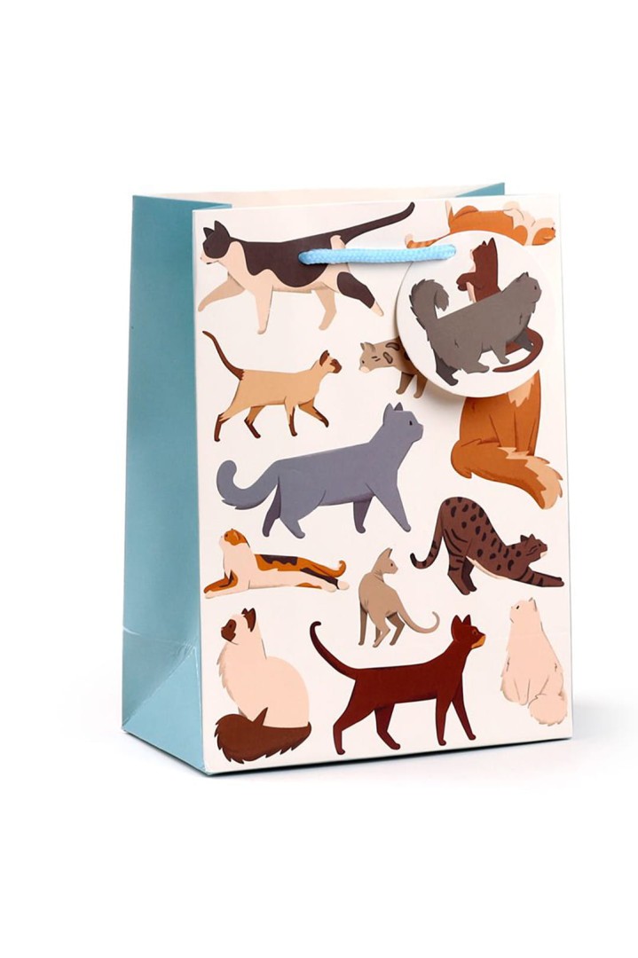 Dárková taška s malým koťátkem