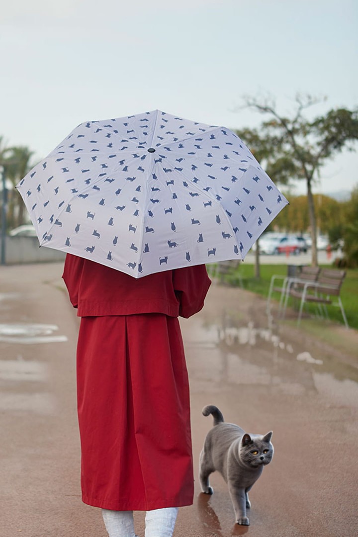 Deštník s barevnými kočkami