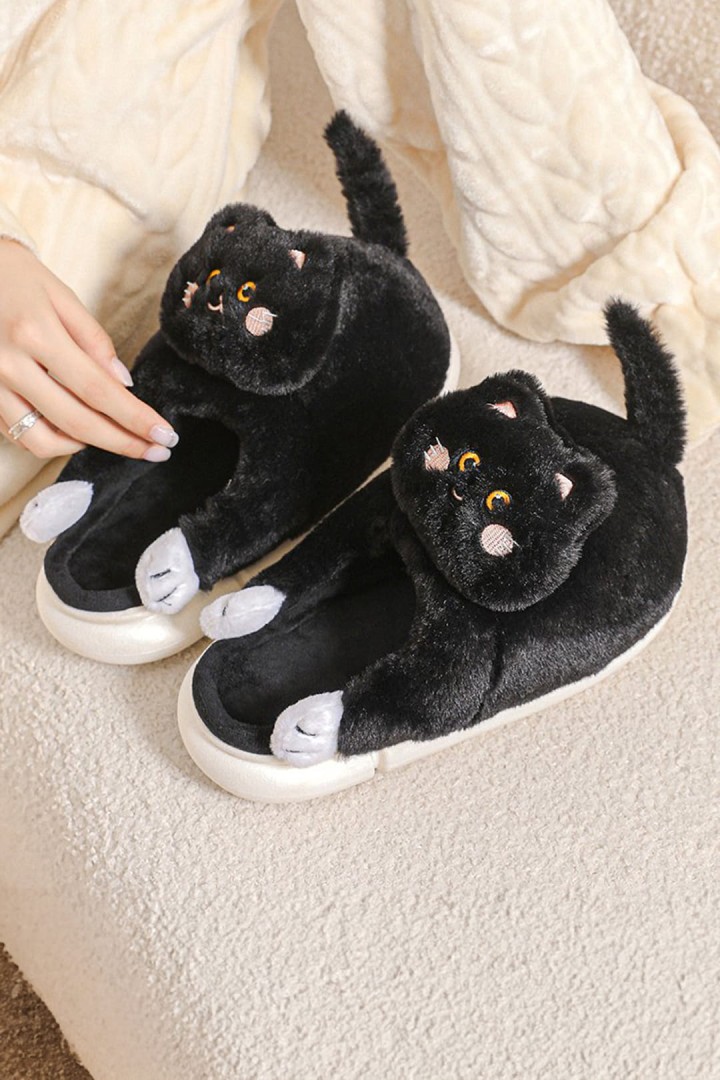 Kočičí pantofle