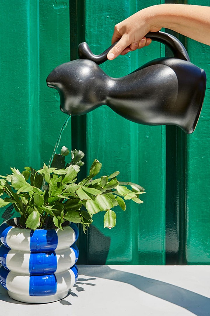 2l konev na zalévání květin ve tvaru kočky