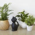 watering-can-meow-black-plastic-27453C.jpg